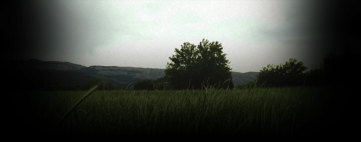 Mas que un rol, una responsabilidad